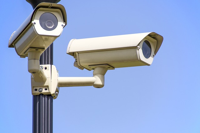 Videosorveglianza in condominio
